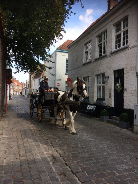 Guestsuite Lady Anna Bruges Extérieur photo